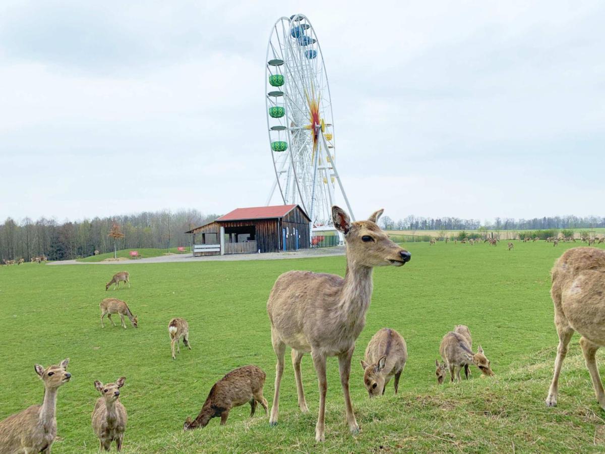 Hotel Am Sonnenlandpark Lichtenau  Zewnętrze zdjęcie